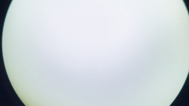 Ferruginous Hawk - ML630026540
