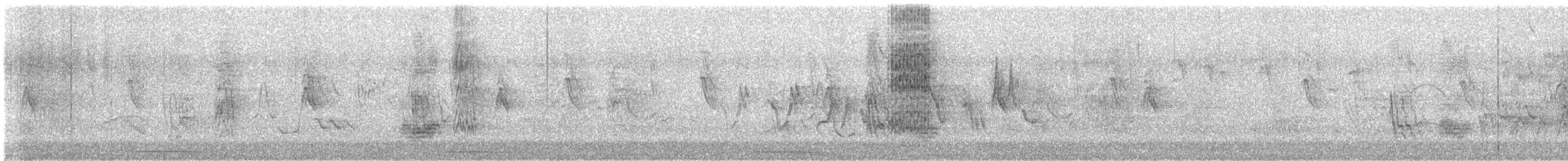 Hirondelle gracieuse - ML630026711