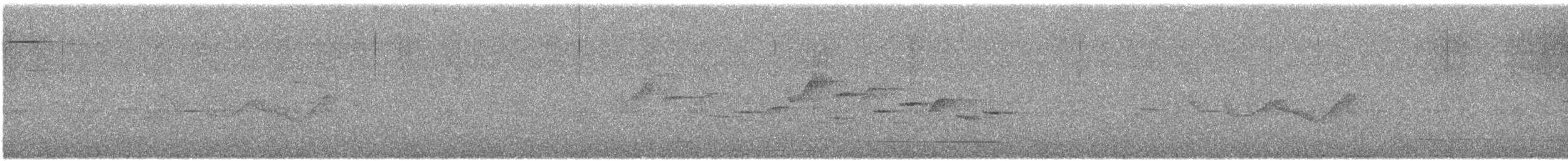 Supertramp Fantail - ML630027005