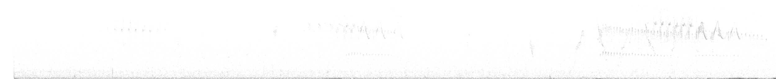 Maquis Canastero - ML630030829