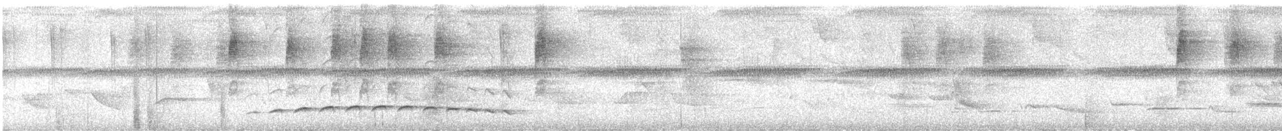 Spot-breasted Antvireo - ML630035248