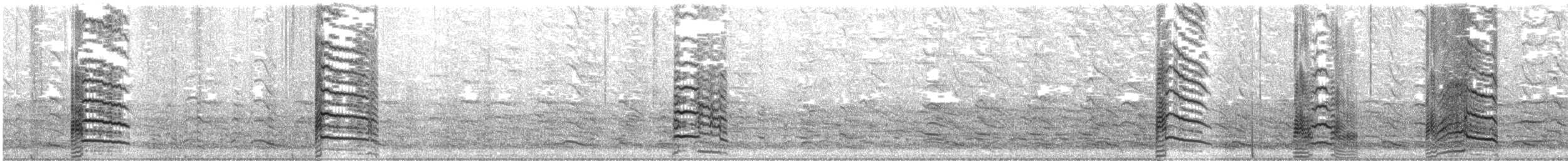 amerikagråmåke - ML630035961