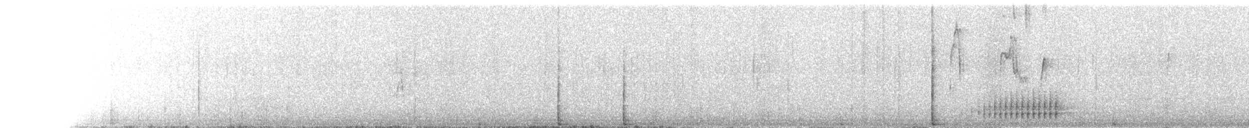 woodpecker sp. - ML630039447