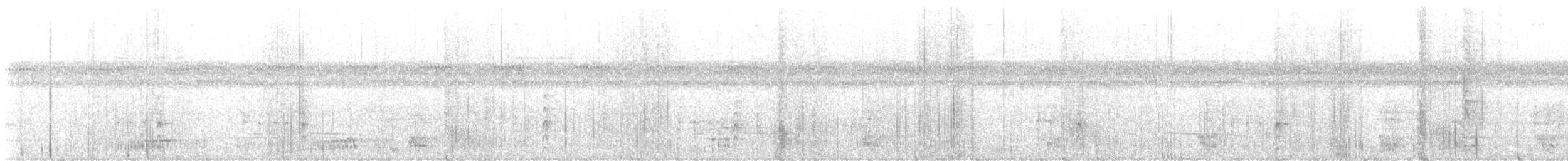 Synallaxis sp. - ML630044983