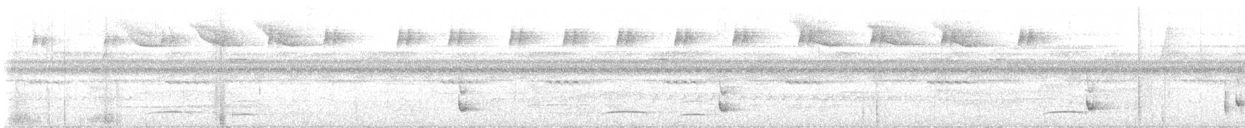 Black-chested Tyrant - ML630045121