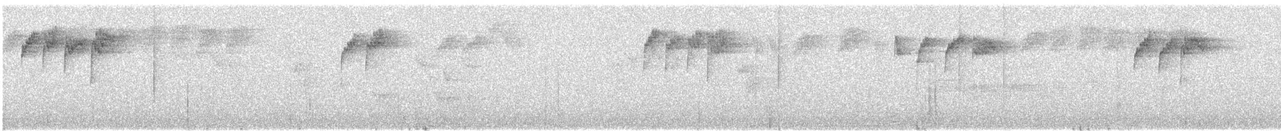 キクイタダキ（teneriffae） - ML630046377