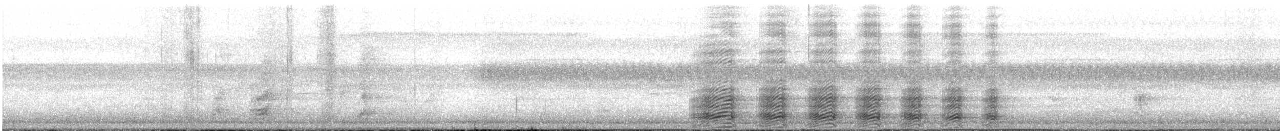 Black-and-white-casqued Hornbill - ML630049357