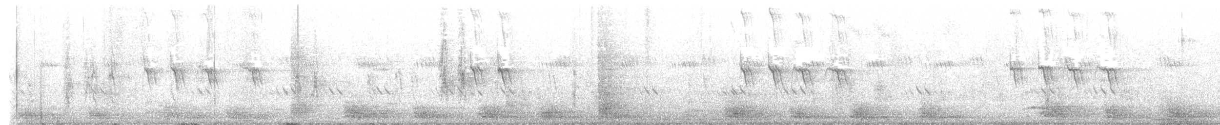 Râle à collier - ML630049944