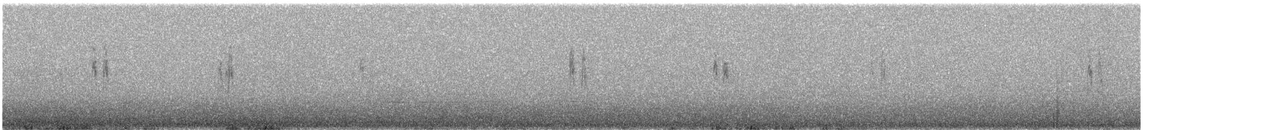 White Wagtail - ML630051528