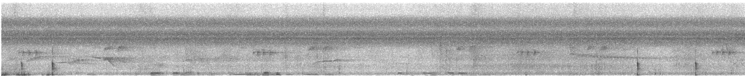 Nava's Wren - ML630057878