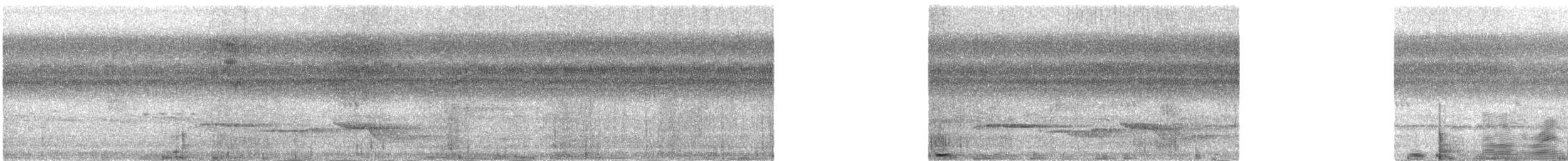 Nava's Wren - ML630057903