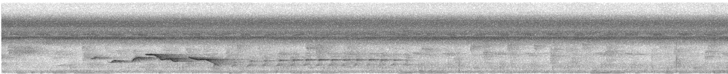 Nava's Wren - ML630057938