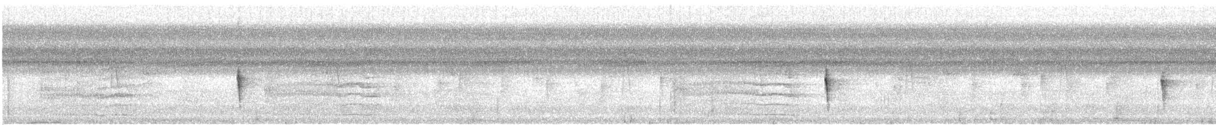 brunkroneparula (rufifrons gr.) - ML630058115