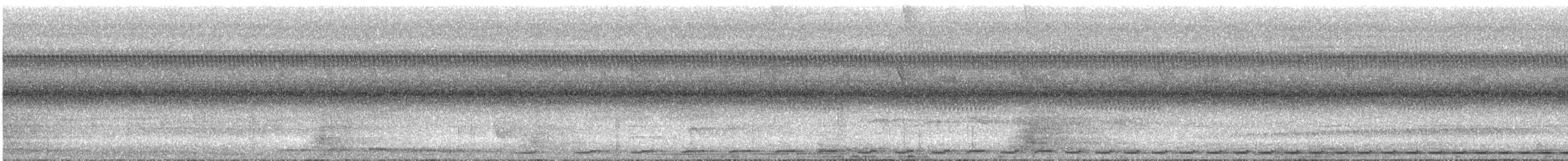Striated Antthrush - ML630065579
