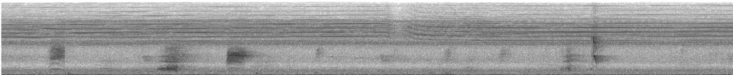 Alapi huppé - ML630065623