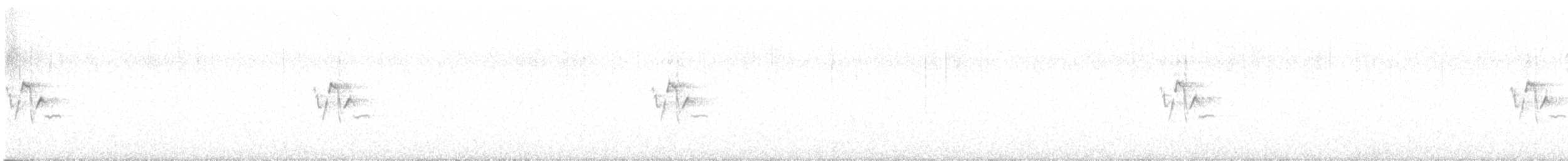 Berthelot's Pipit - ML630070211