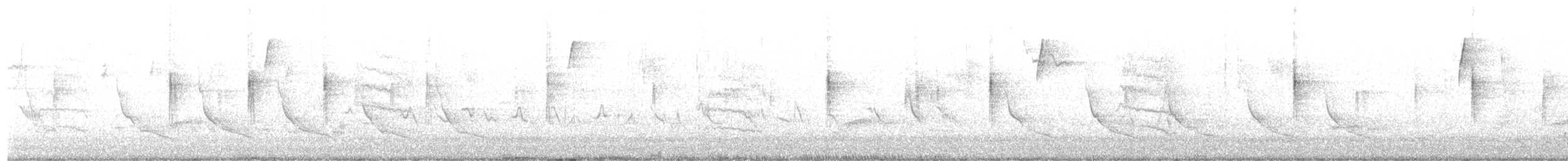 Swainson's Thrush - ML630071731