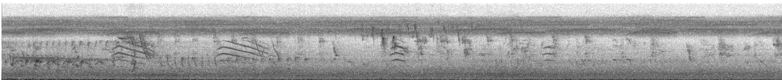 カノコスズメ - ML630088422
