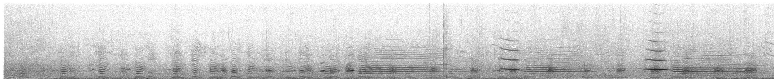 Magellanic Penguin - ML630089370