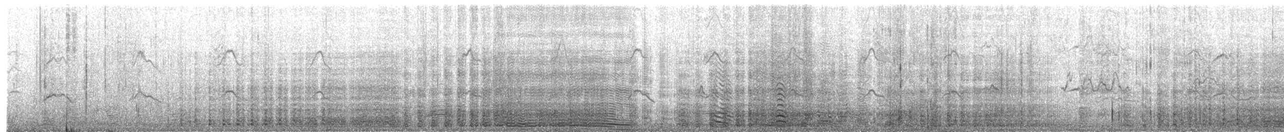 Pingüino Saltarrocas Occidental - ML630089381