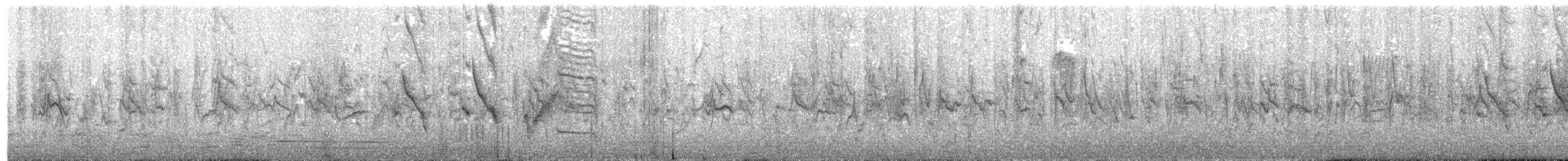 Jilguero Golinegro - ML630089395