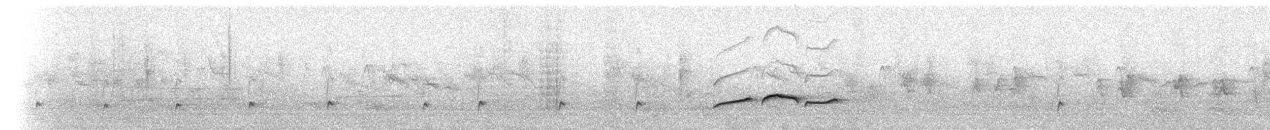 Greater Pewee - ML630101510