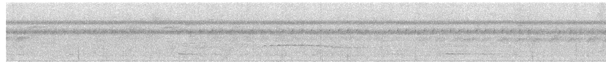 Long-billed Gnatwren - ML630102735