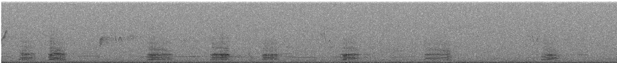 White-necked Raven - ML630108057