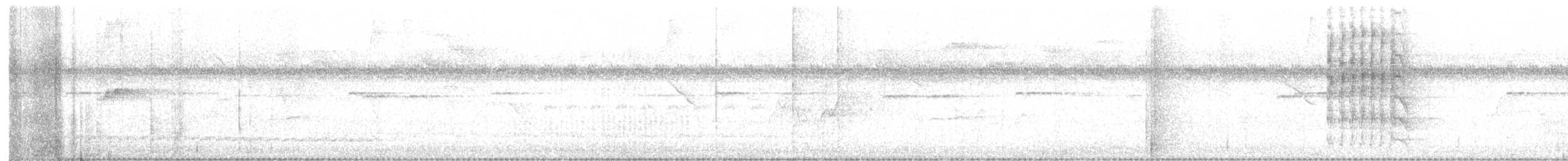 ヒメテンニョゲラ - ML630110241