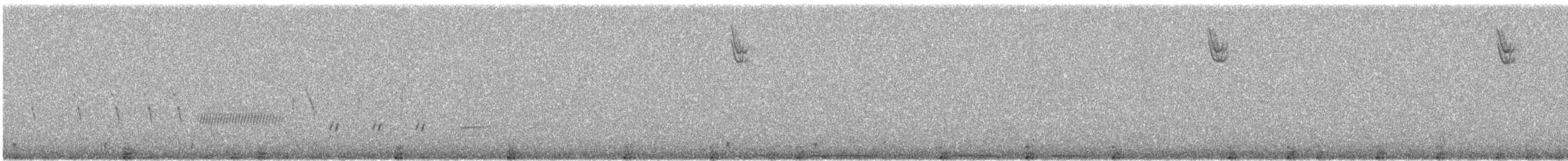 גיבתונית רוננת - ML630113991