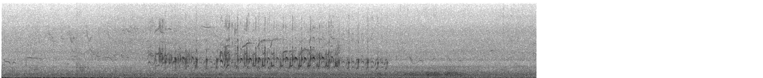 Pied Plover - ML630120469