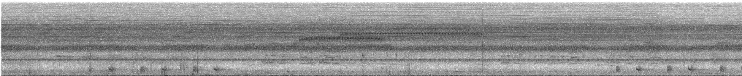 Manu Antbird - ML630120823