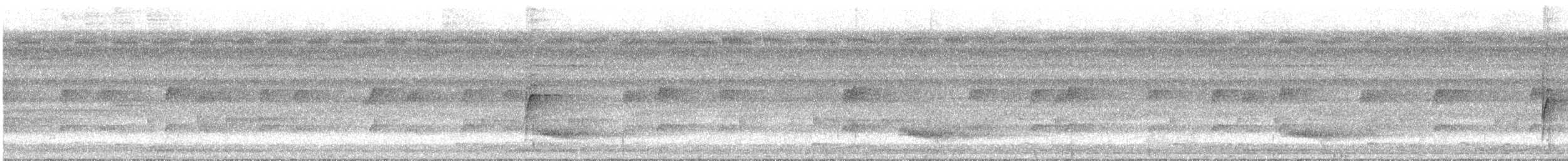 Black-tailed Leaftosser - ML630125318