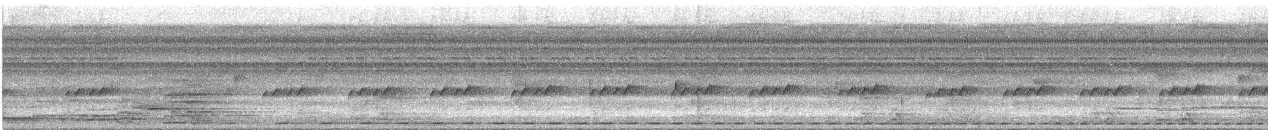 Striated Antthrush - ML630125333