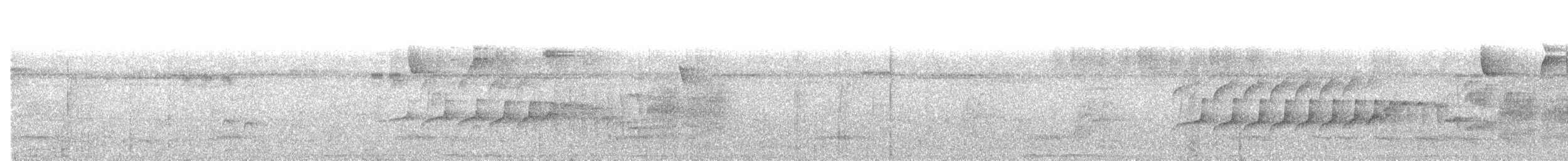 Bicolored Antbird - ML630127845