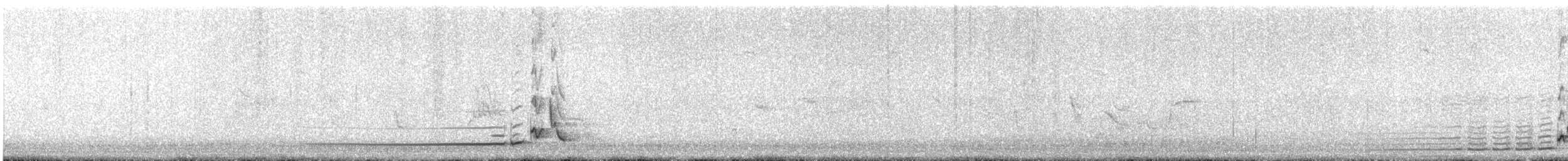 Japanese Bush Warbler - ML630127951