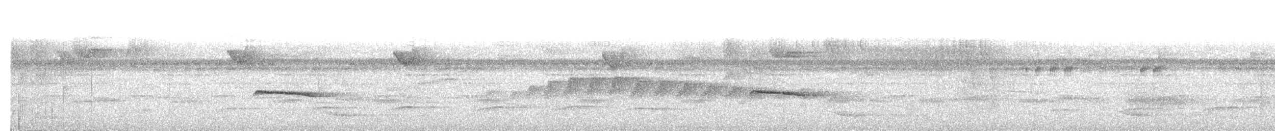 Tawny-faced Gnatwren - ML630128548