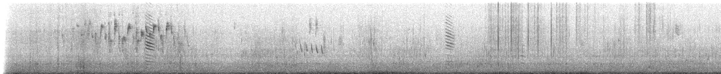 Epthianure à front blanc - ML630136912