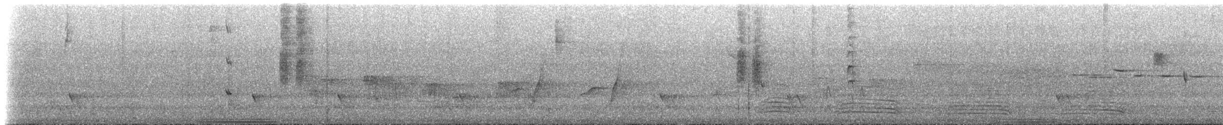 Common Bronzewing - ML630137557