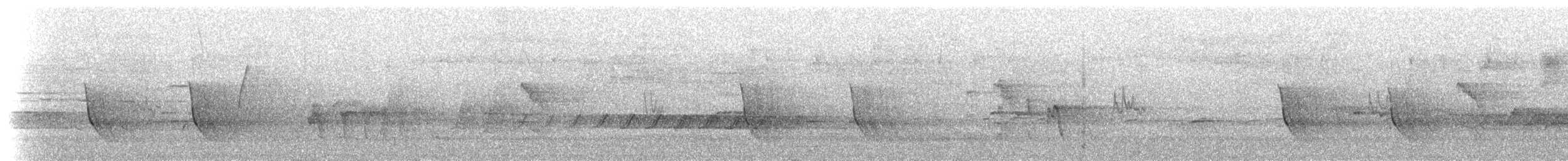 Sahul Cicadabird - ML630137636