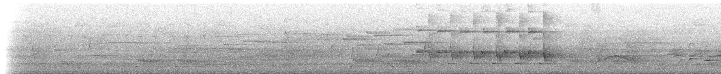 ビロードヒラハシ - ML630138711