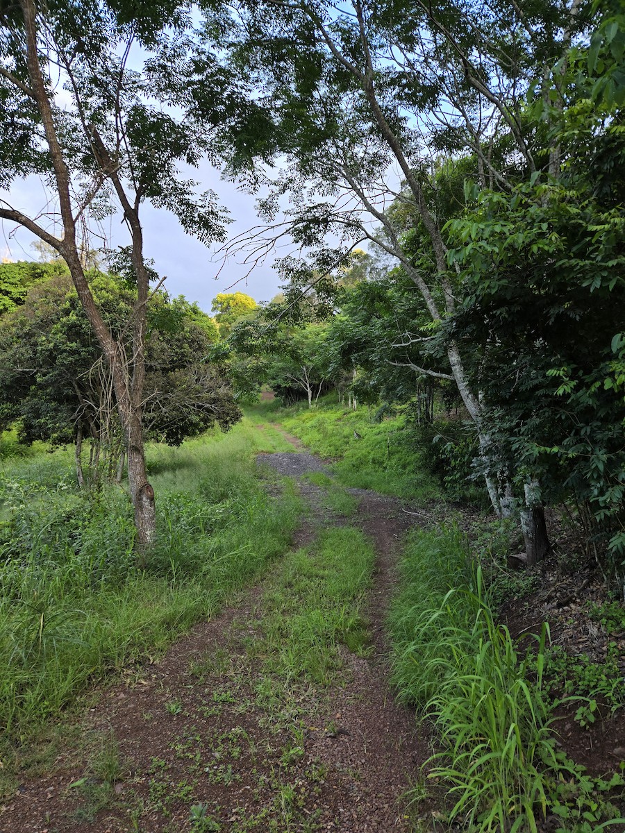 null - ML630143435