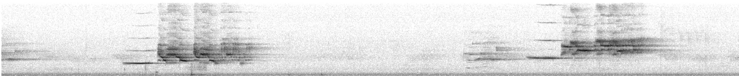 Дрізд-короткодзьоб плямистоволий (підвид faxoni/crymophilus) - ML63014771