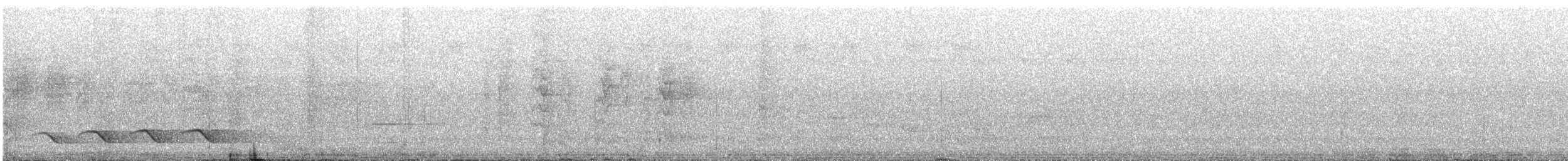 オーストラリアメンガタカササギビタキ - ML630149715