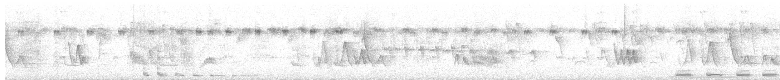 コミミグロカッコウ - ML630151336