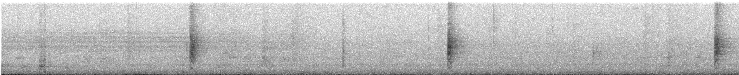 White-faced Robin - ML630152689