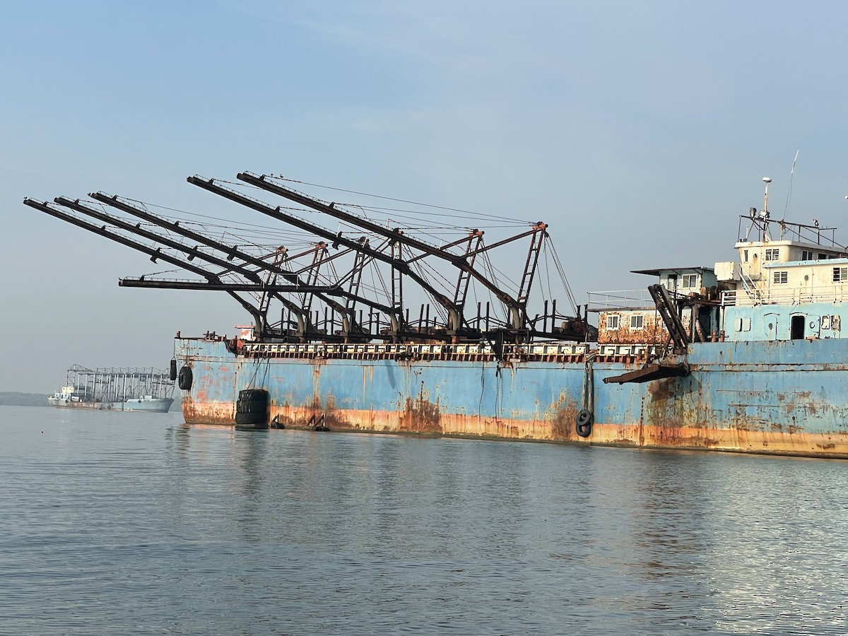 Sunda Teal - ML630153932