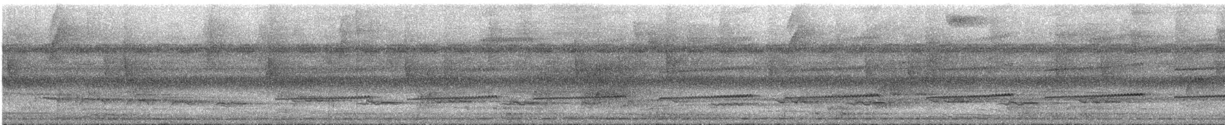 Grisin sanglé - ML630168178