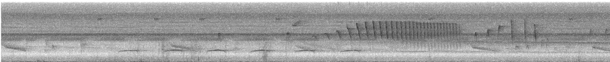 Sclater's Antwren - ML630168667