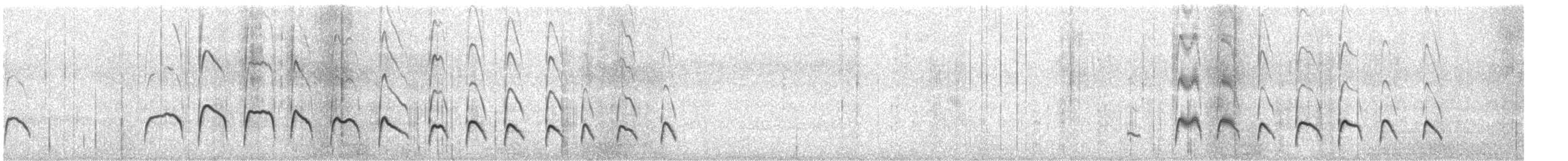 buřníček žlutonohý - ML630168854